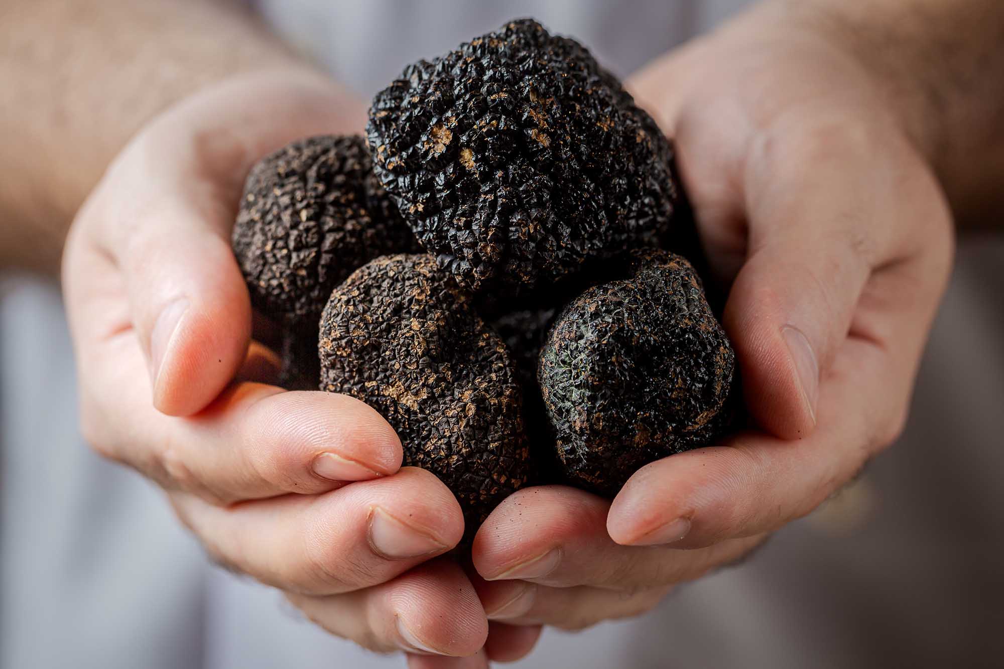 ẩm thực nấm truffle