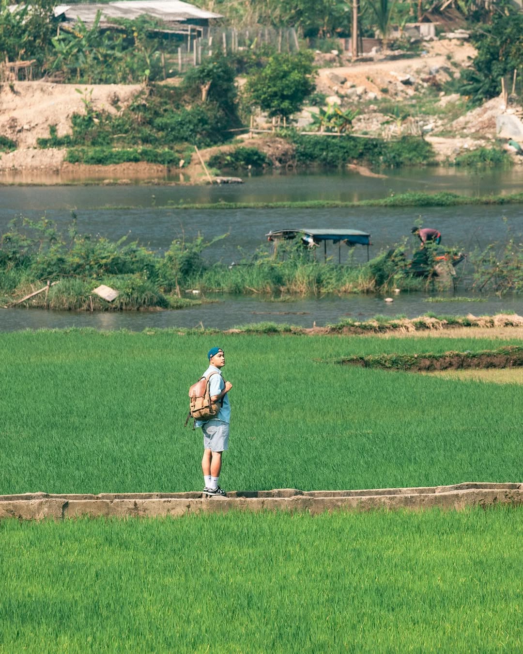 Cánh đồng điện biên 