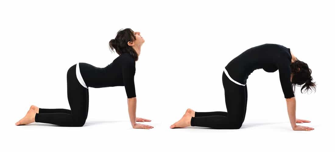 cô gái tập yoga tư thế con mèo - con bò