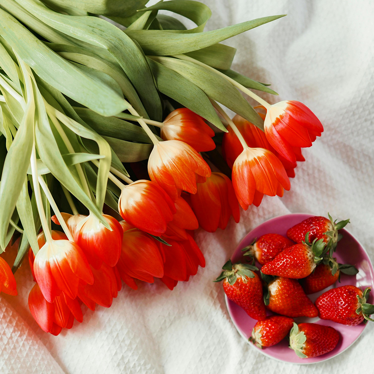 bó hoa tulip đỏ cho ngày valentine