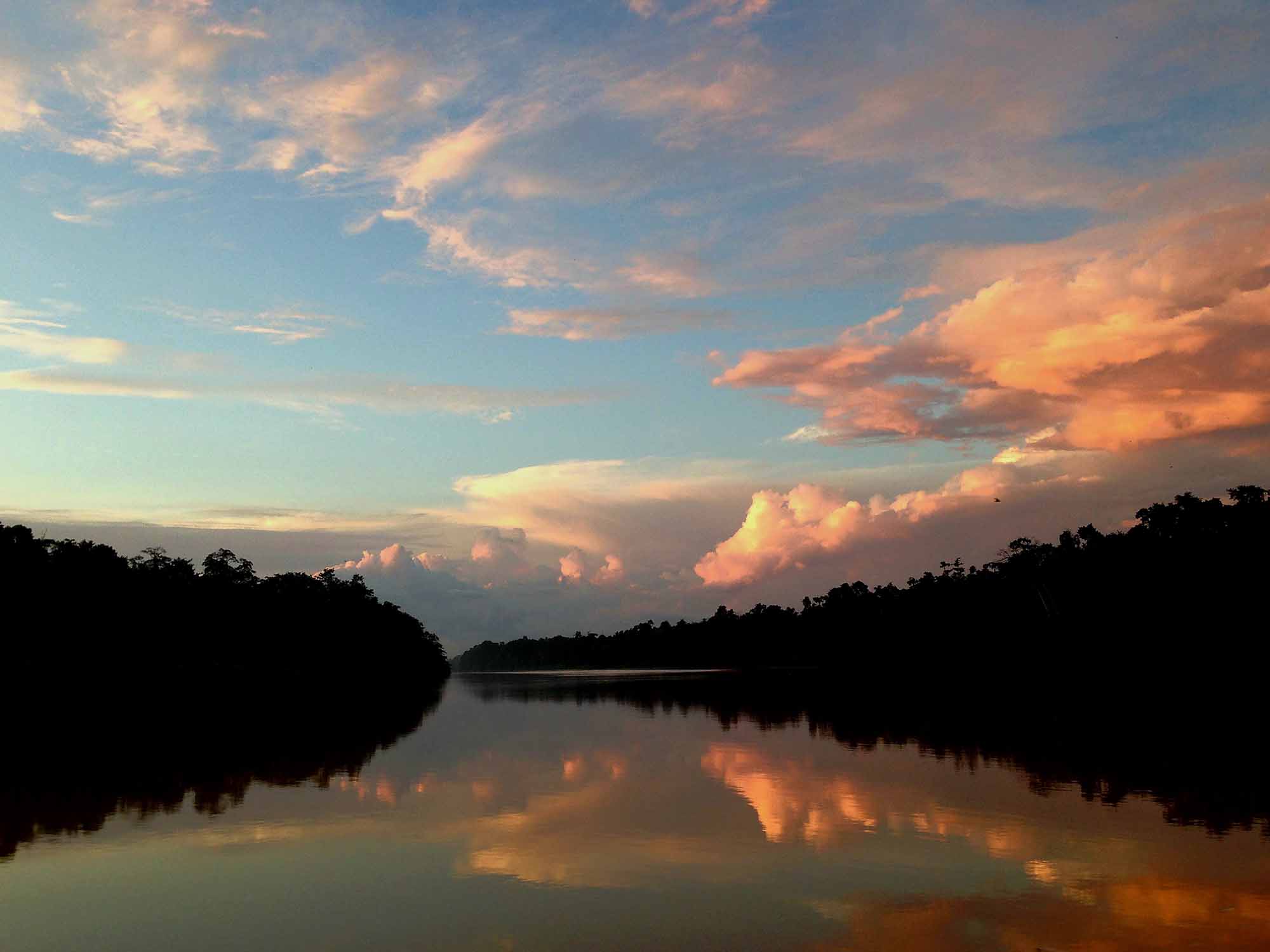 du lịch trên sông Kinabatangan trong rừng mưa nhiệt đới Borneo, phần thuộc lãnh thổ Malaysia.