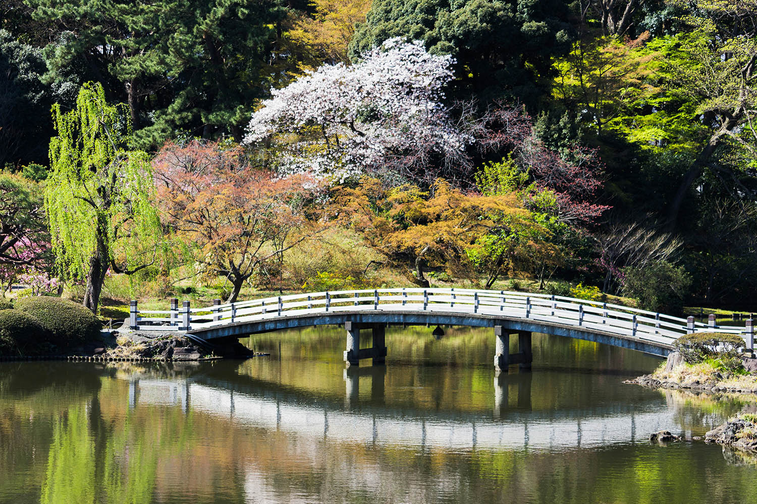 vườn quốc gia shinjuku gyoen