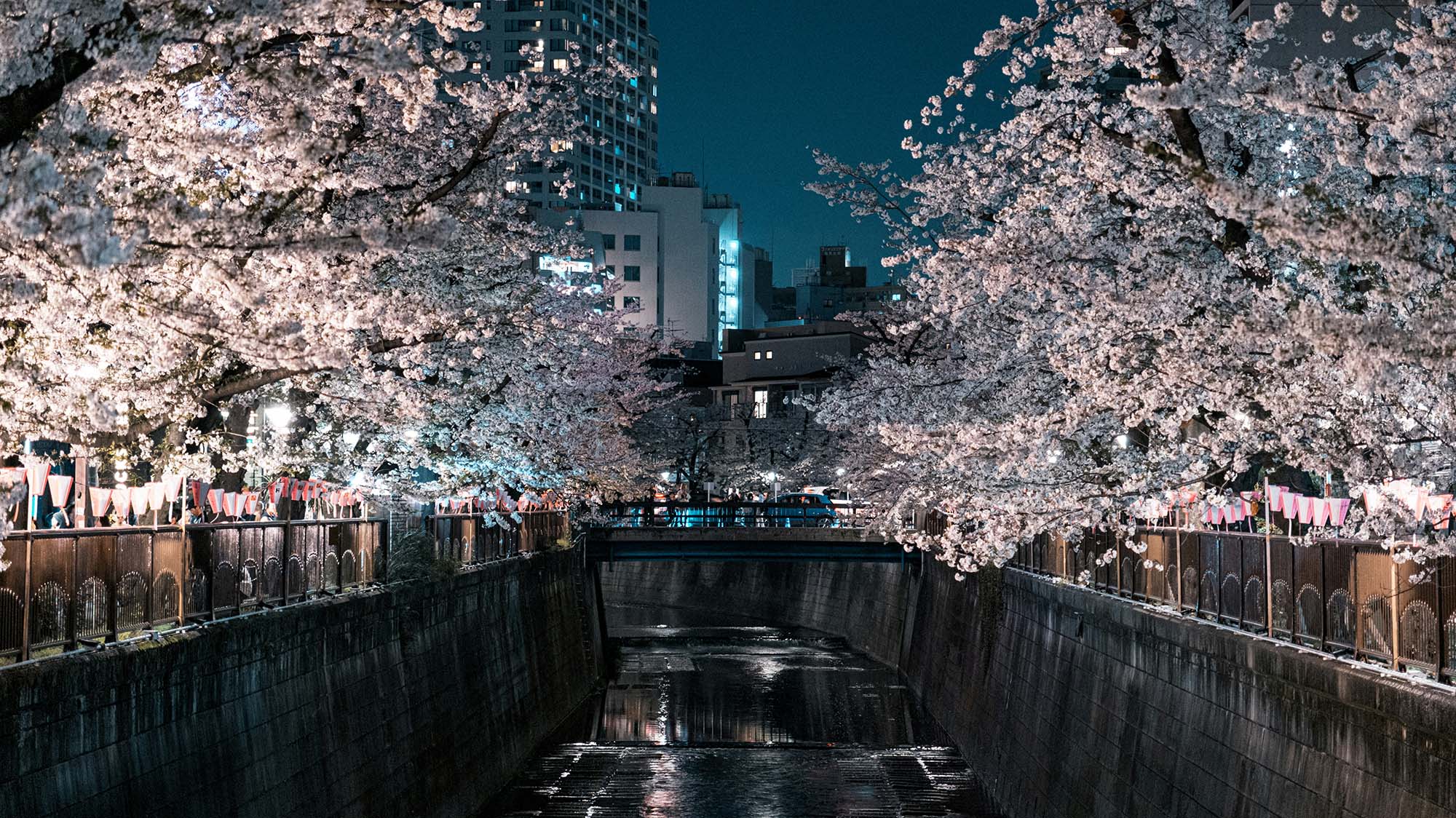 sông meguro tokyo