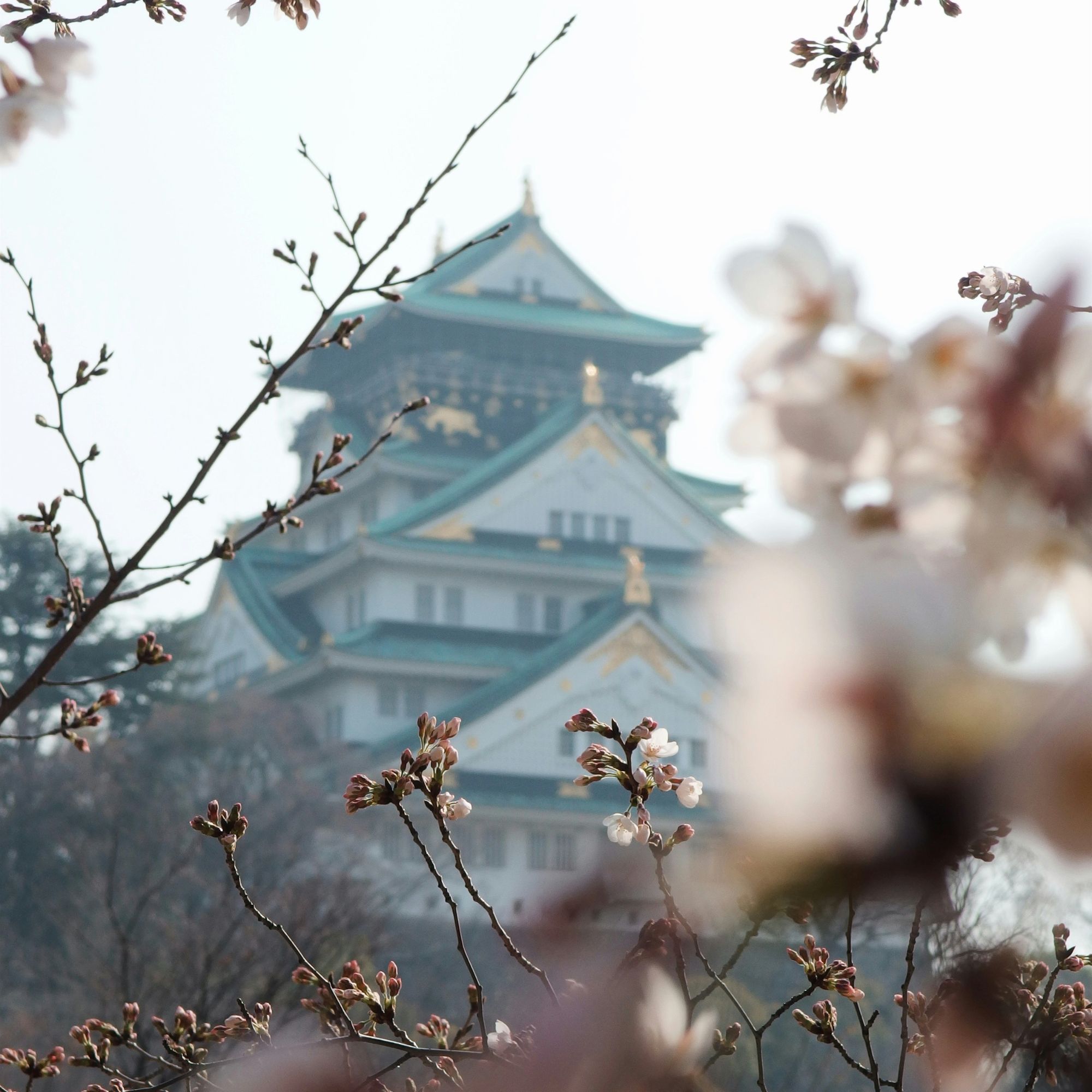 lâu đài osaka