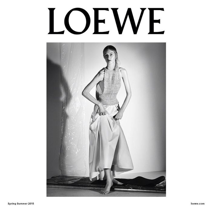 loewe