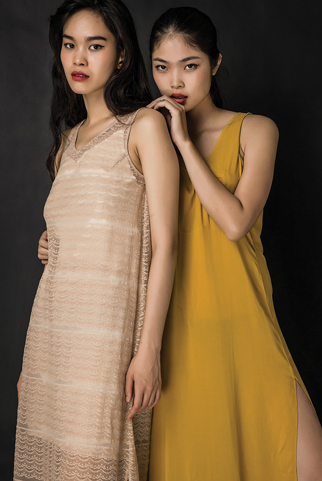 Chiếu Hoa Tứ sắc Collection