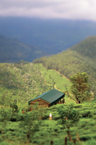 Du lịch Sri Lanka – Đừng chết ở World’s End