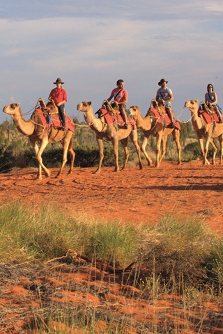 Du lịch Úc: Mùa xuân ngược ở Ayers Rock