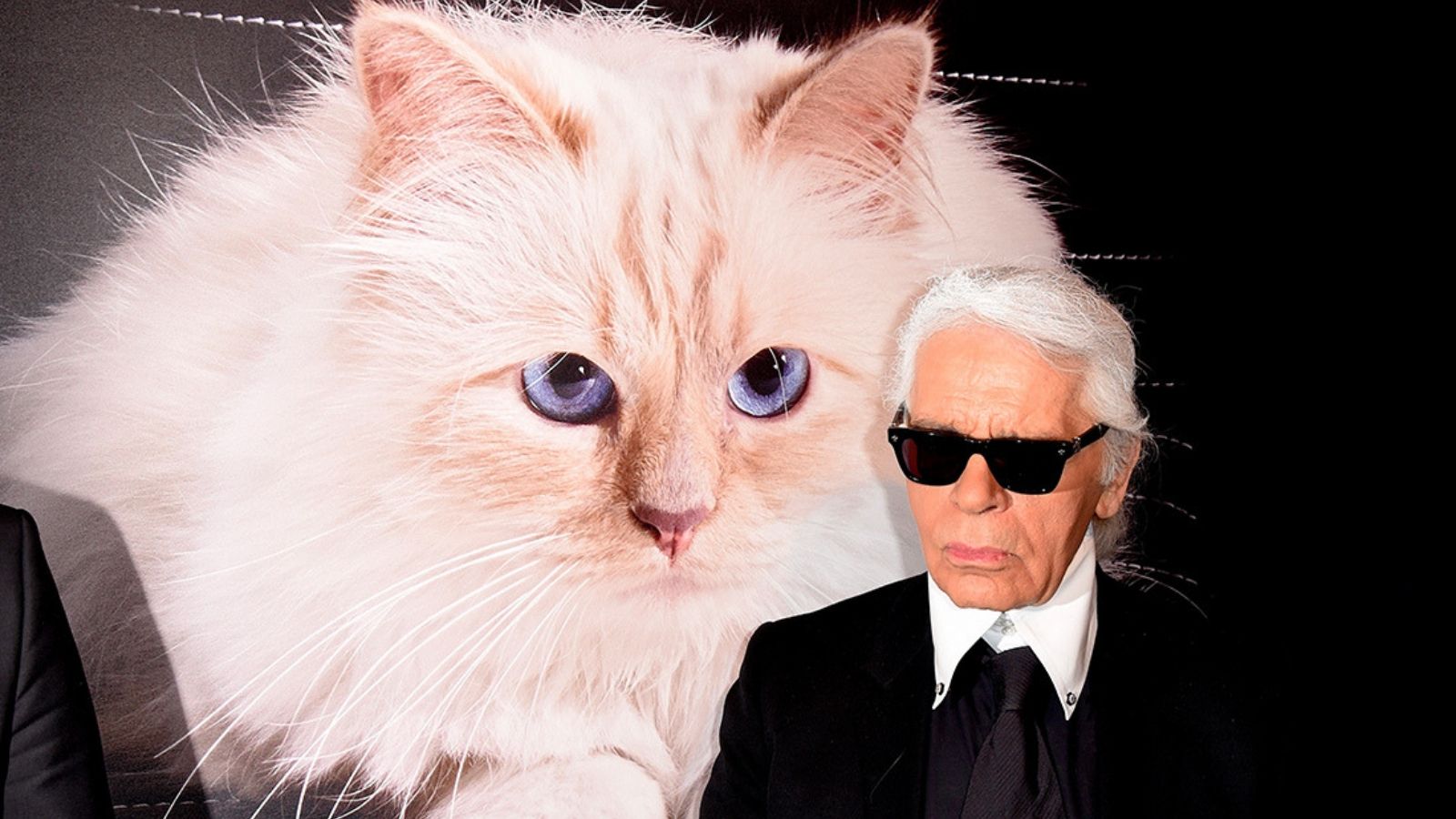 mèo choupette và karl lagerfeld