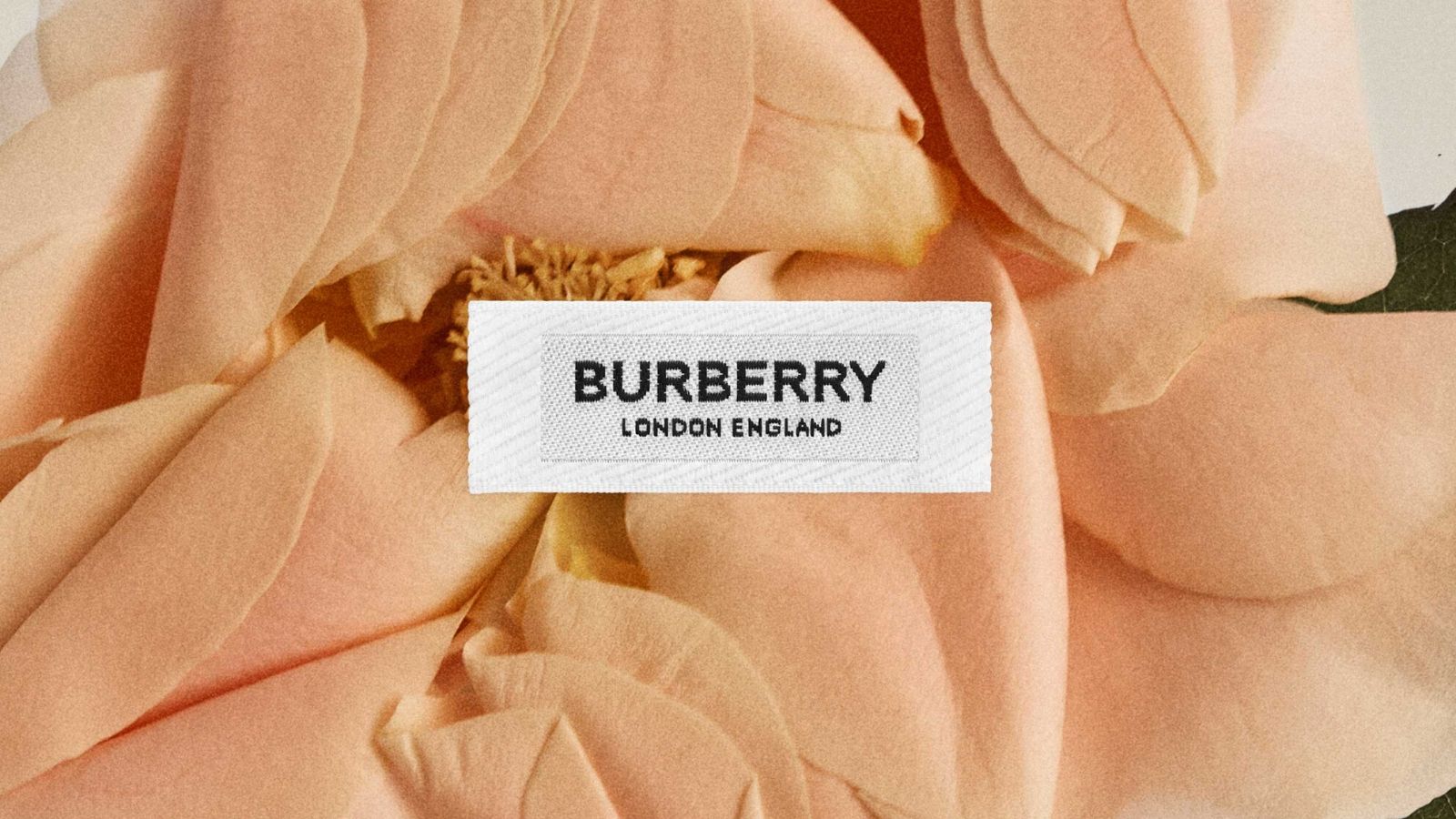 livestream bộ sưu tập burberry thu đông 2020