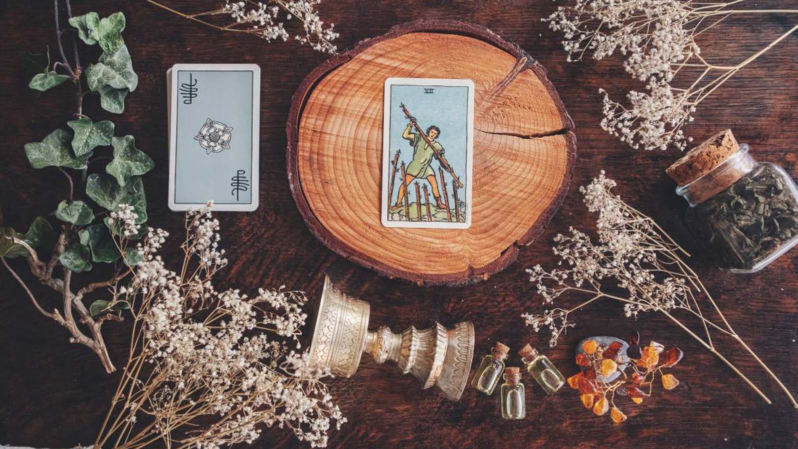 lá bài tarot nói gì về cung hoàng đạo