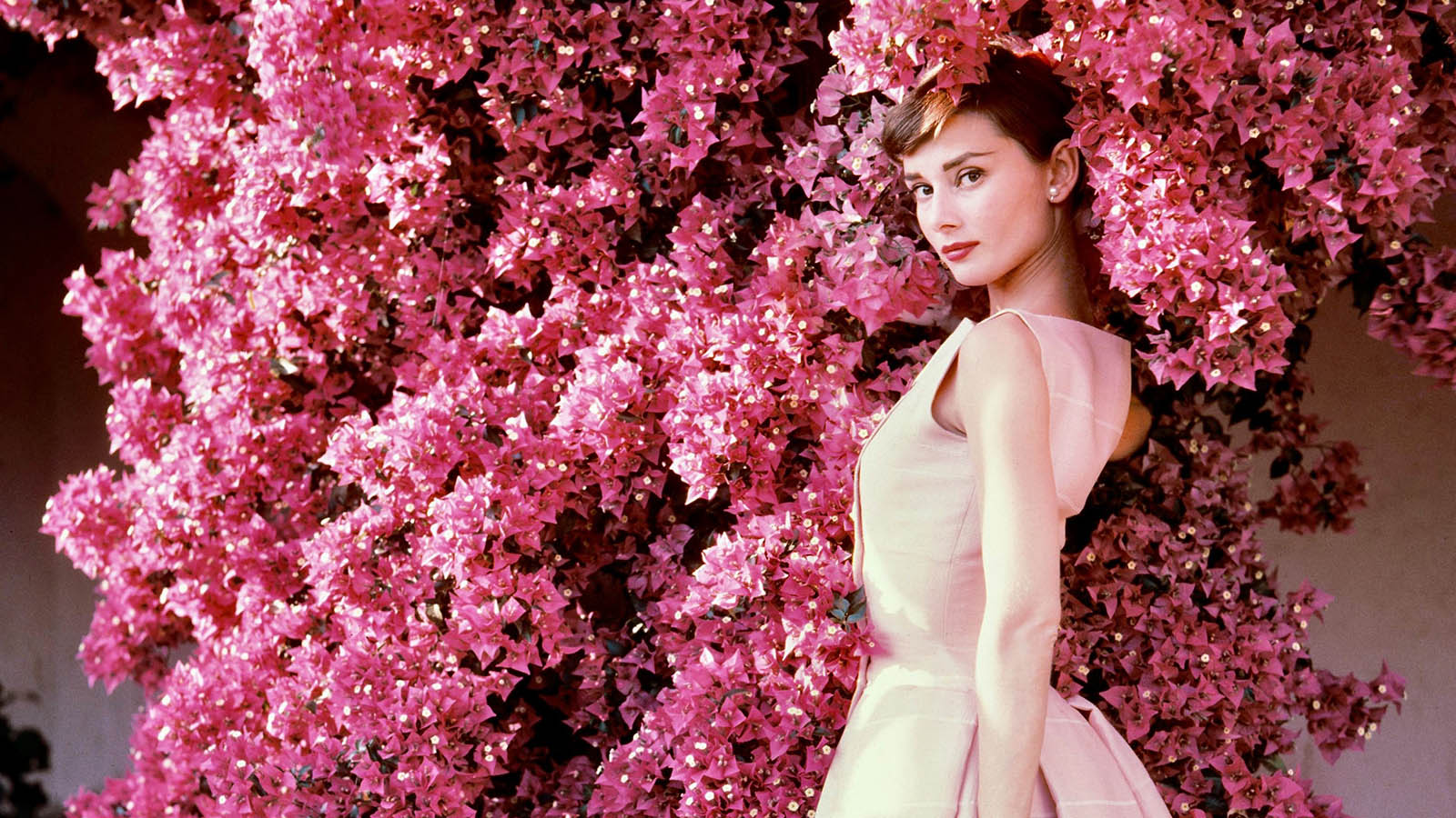 diễn viên Audrey Hepburn 15