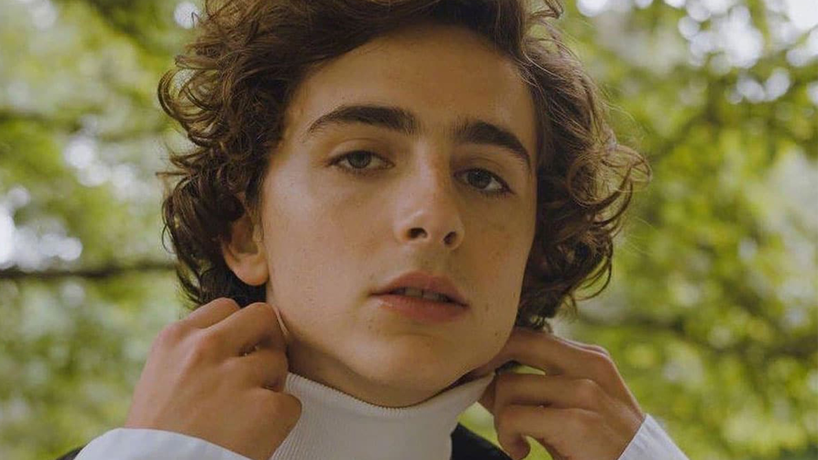 diễn viên timothée chalamet