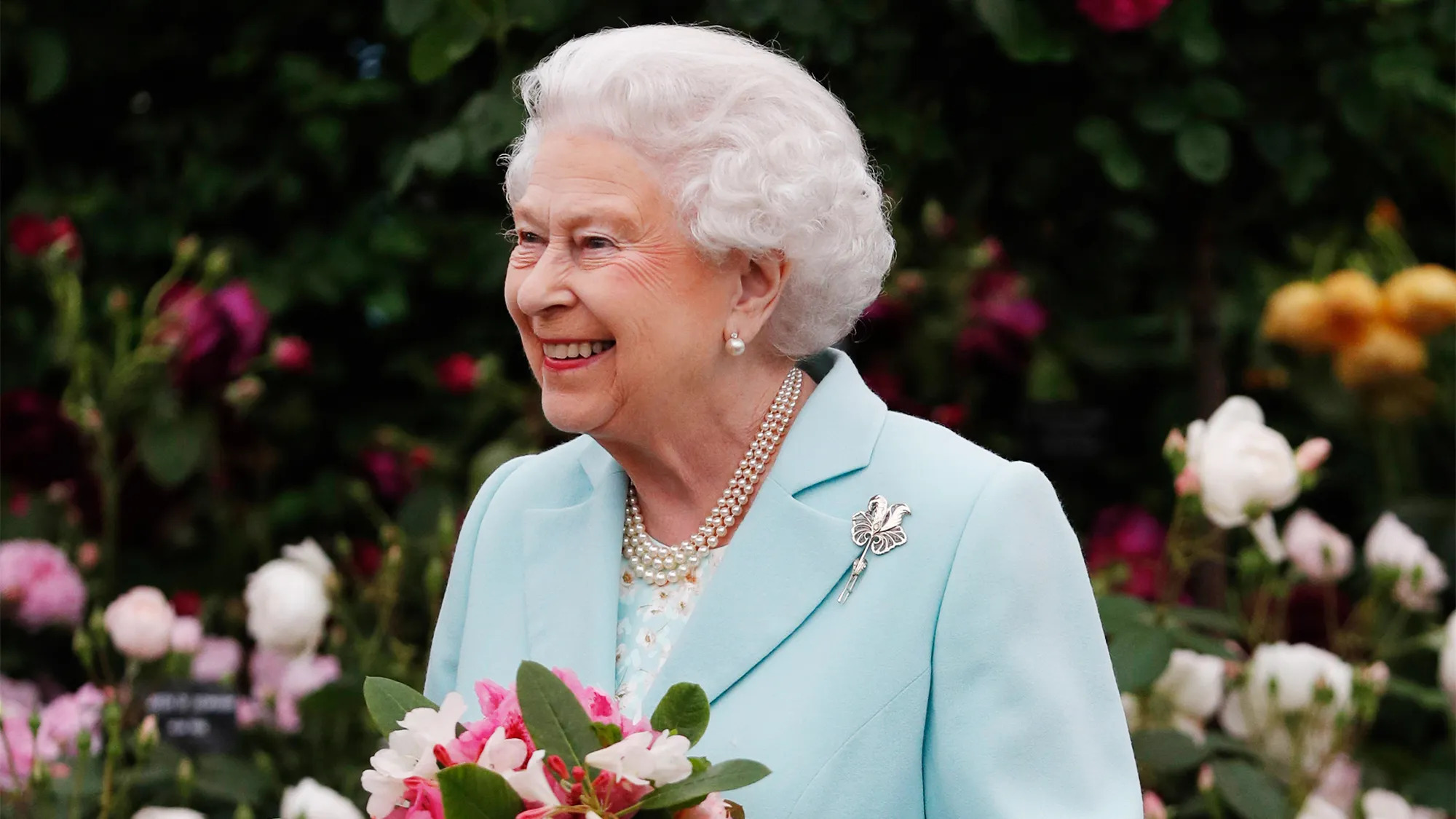 Ghim cài áo - queen-elizabeth-chelsea-flower-show