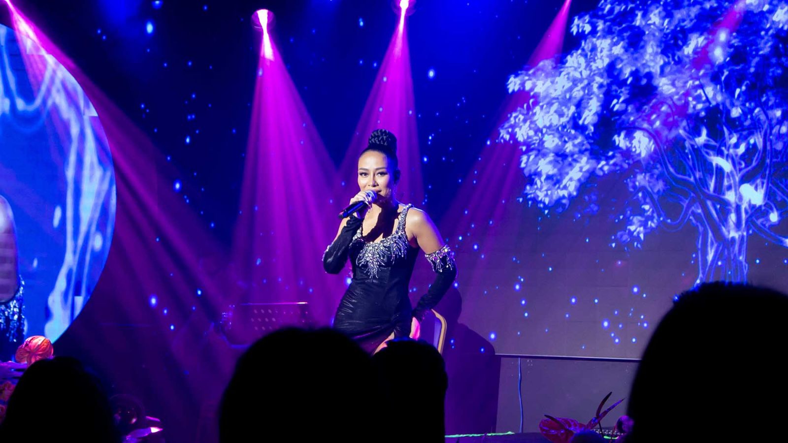 Concert Thảo trang