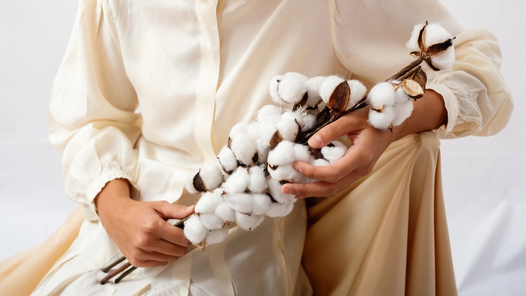 Sợi cotton hữu cơ bền vững