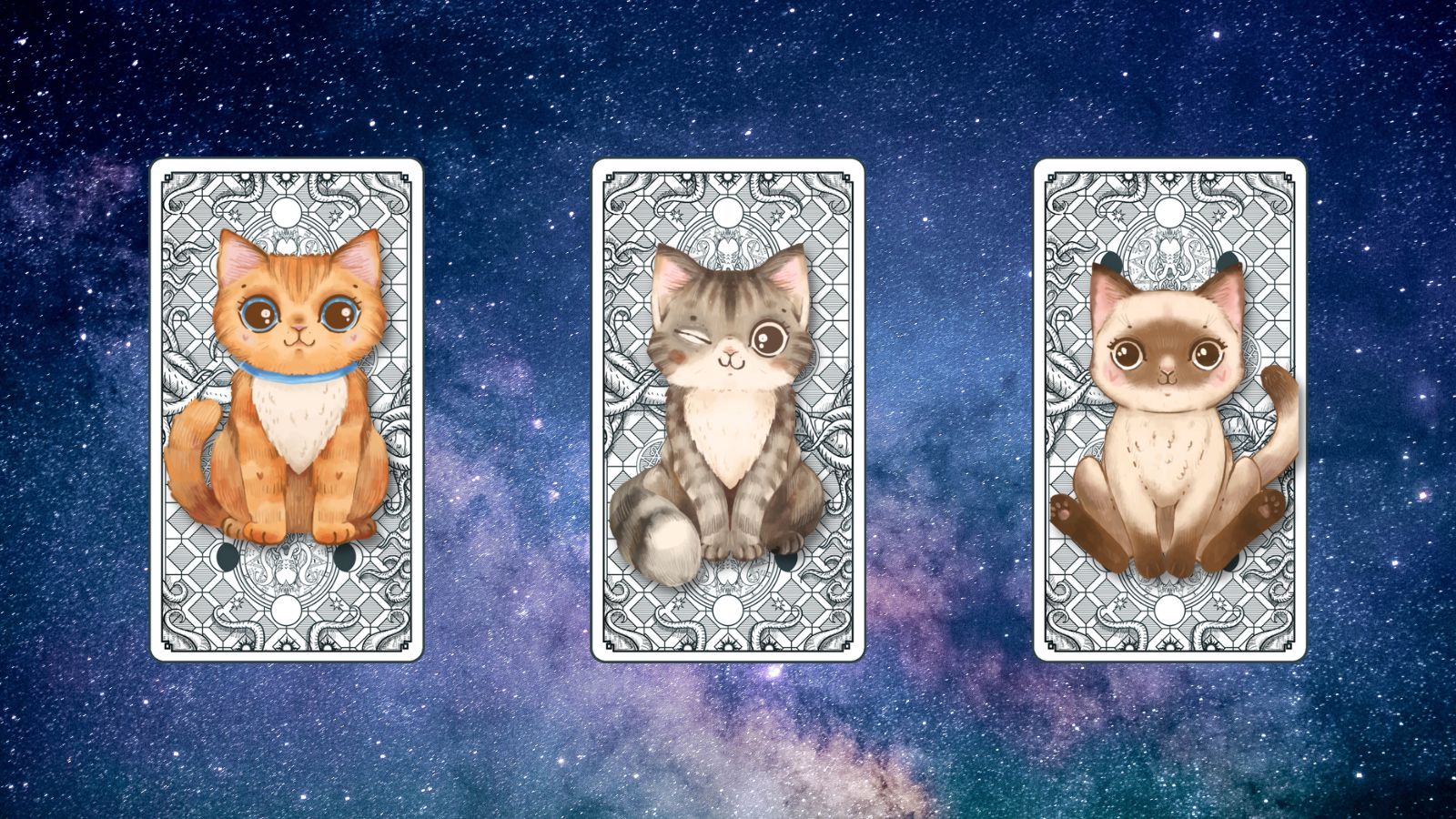 trải bài tarot