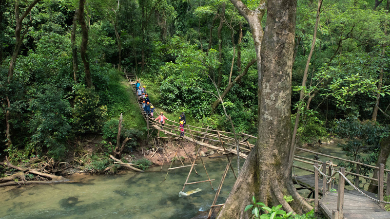 du lịch tại rừng phong nha