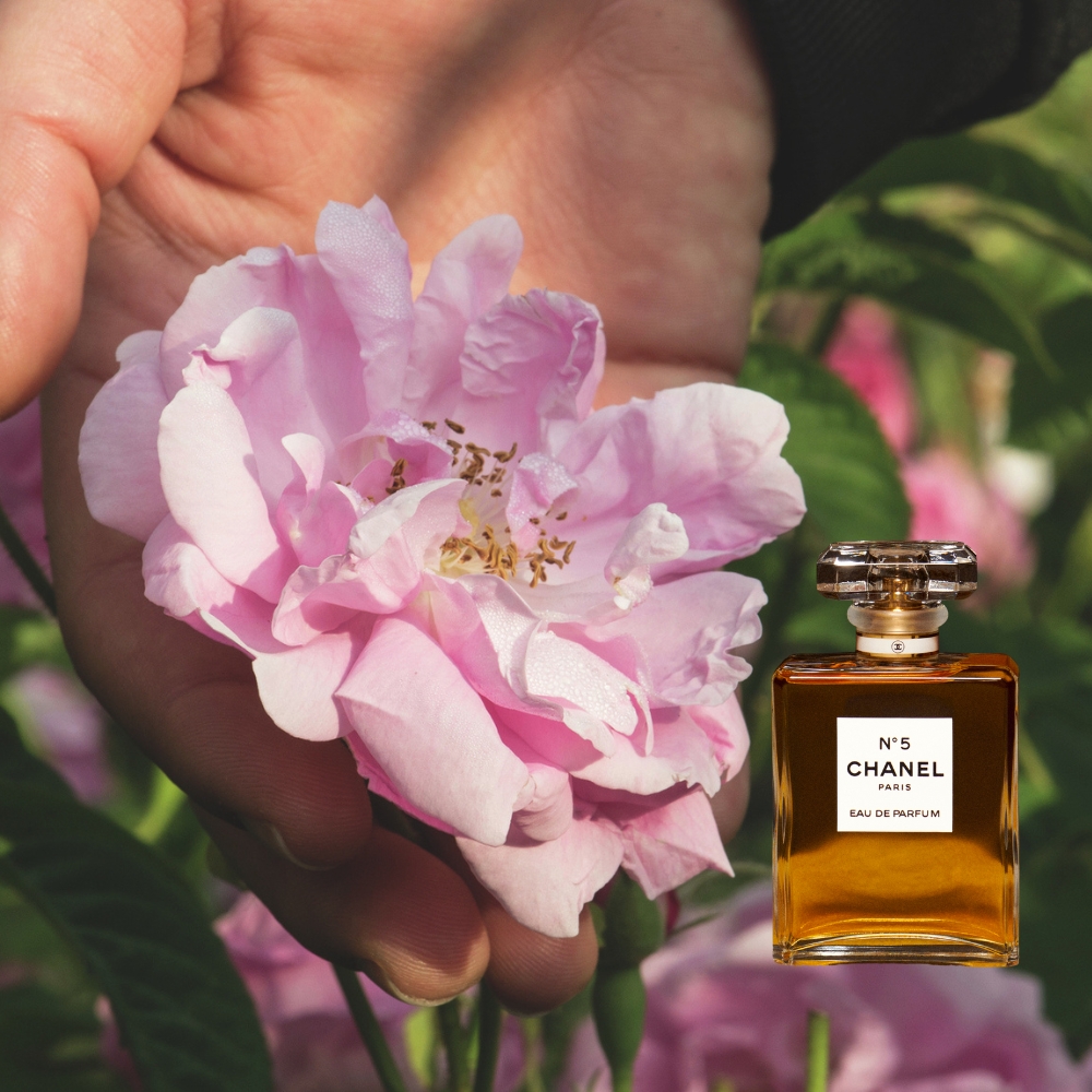 chai nước hoa Chanel N°5