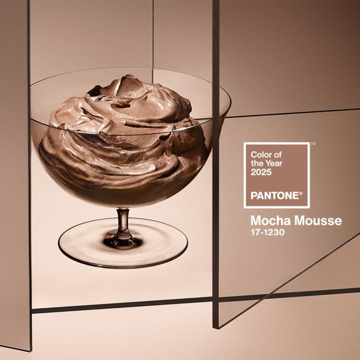 mocha mousse color of the year 2025 do pantone bình chọn