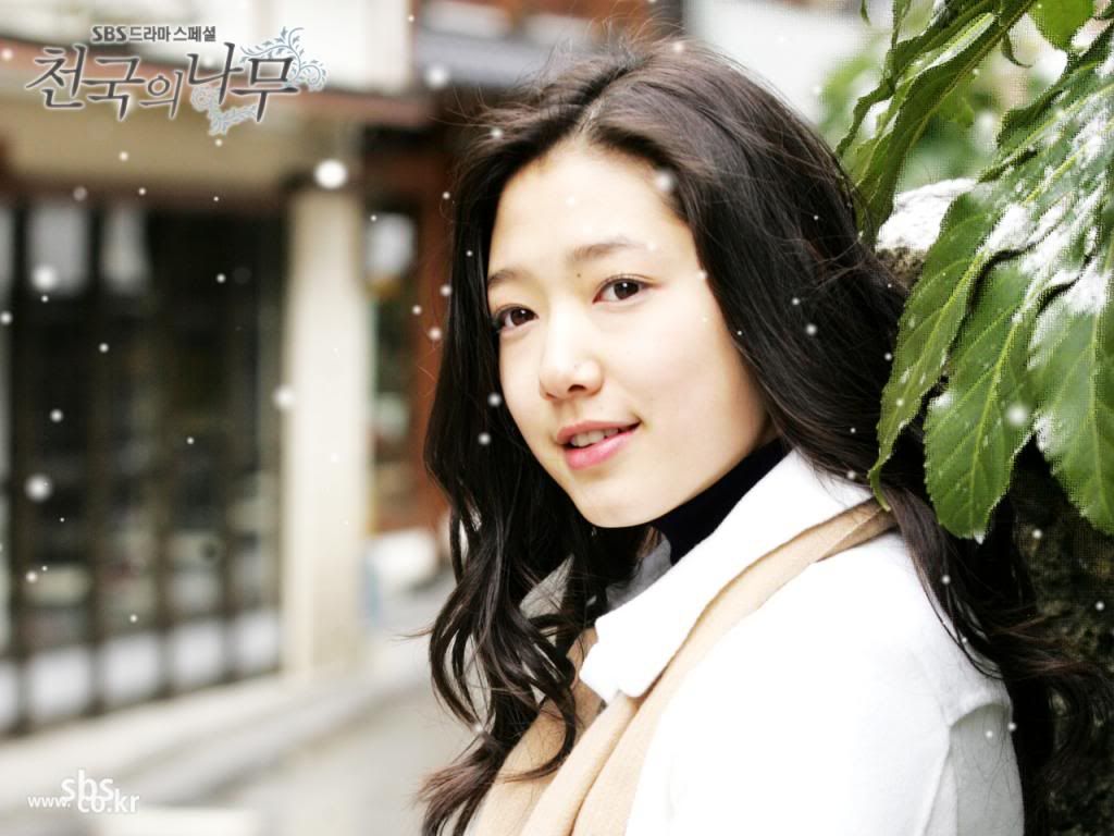 park shin hye 2