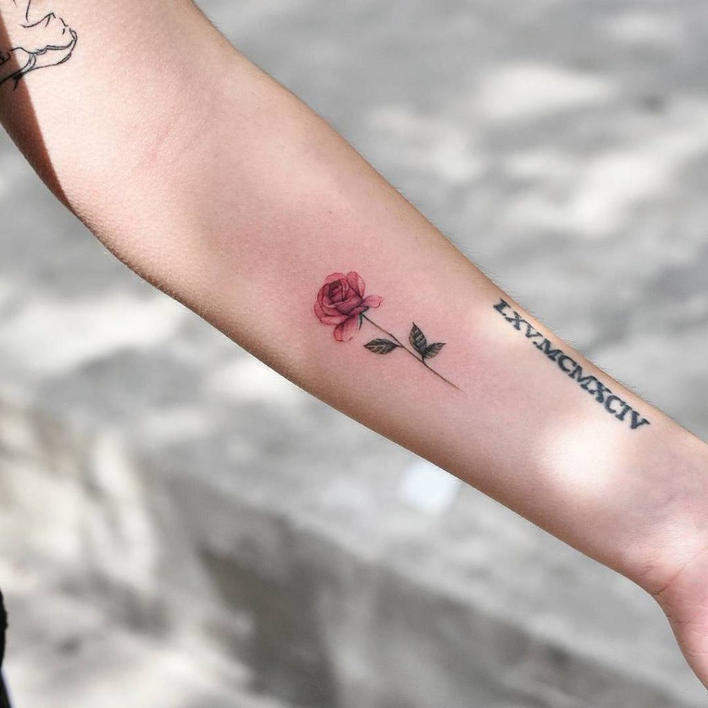 hình xăm hoa đẹp hình xăm hoa ở tay nữ hình xăm hoa hồng flower tattoo  mini tattoo đẹp hình xăm 3D hình xăm ở tay đẹp nhất hìn  Mini tattoos