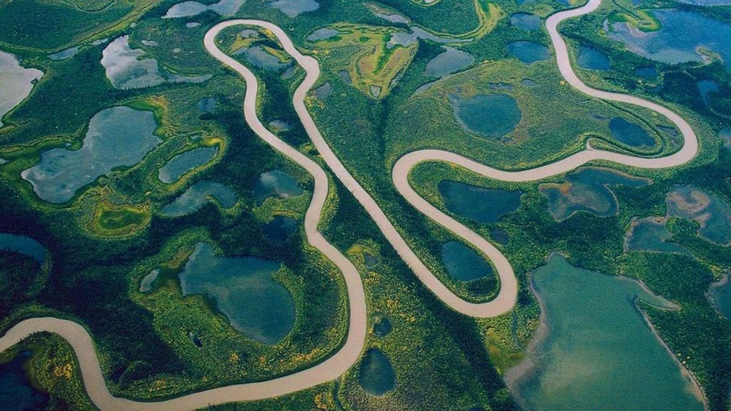 sông amazon nhìn từ trên cao