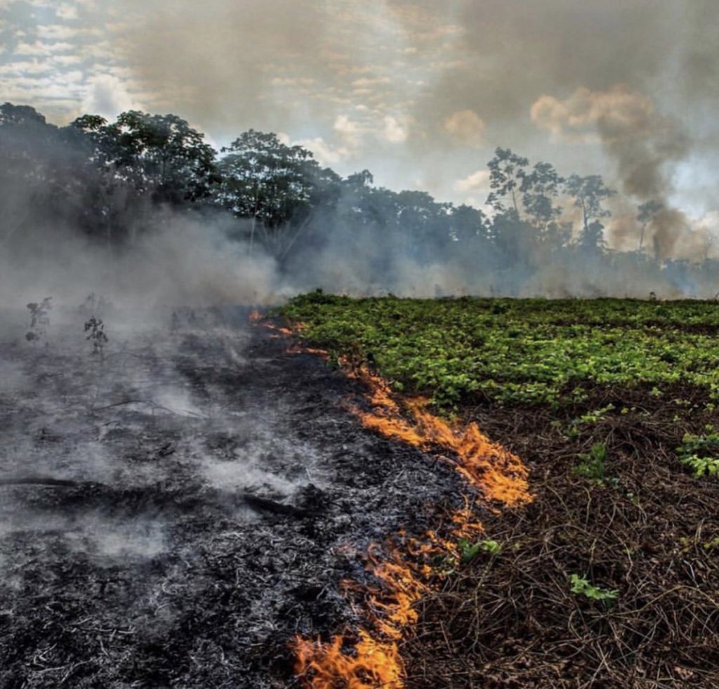 vụ cháy rừng amazon