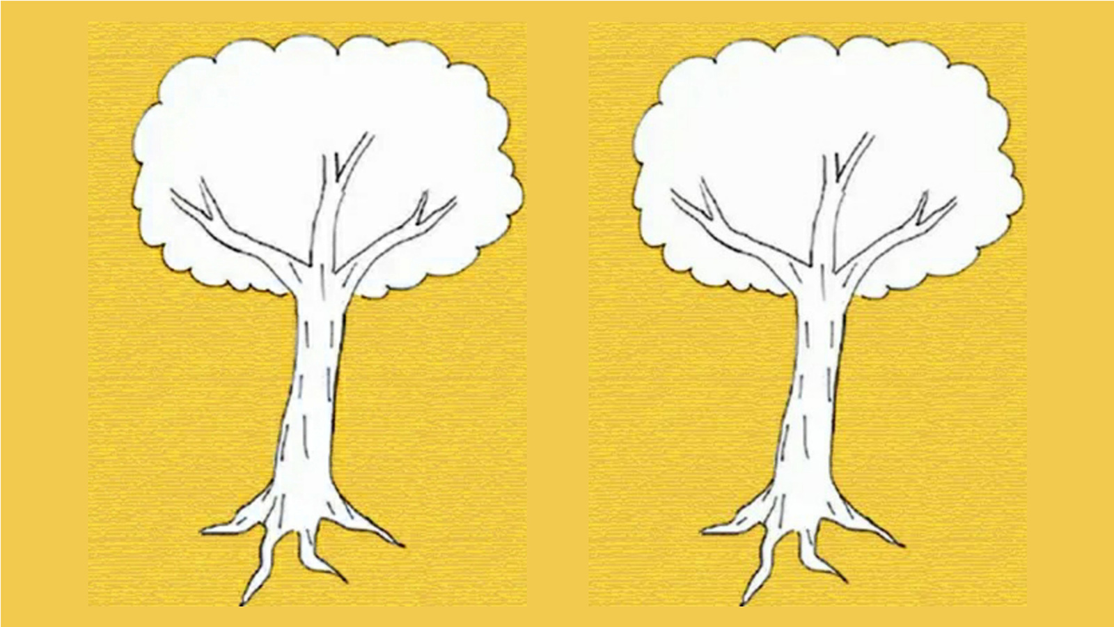 Chắc hẳn bạn muốn biết cách vẽ cây sao cho mang lại cảm xúc chân thật, đúng không? Hãy tham khảo bài trắc nghiệm Karl Koch và khám phá cách tạo ra những hình vẽ đầy cảm xúc và sáng tạo trong ảnh này nhé!
