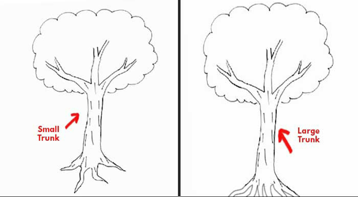 Trắc nghiệm Karl Koch: Cách vẽ cây tiết lộ cảm xúc của bạn | ELLE