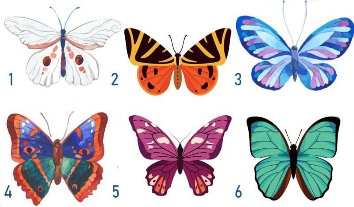 Trắc nghiệm, Con bướm, Tính cách: Con bướm có những đặc điểm rất độc đáo và đa dạng về màu sắc, hình dáng, loài... Những đặc trưng này đã khiến cho con bướm trở thành một chủ đề thú vị để nghiên cứu tính cách. Cùng tham gia trắc nghiệm tính cách với chủ đề con bướm để khám phá bản thân mình và tìm hiểu thêm về loài vật này nhé!
