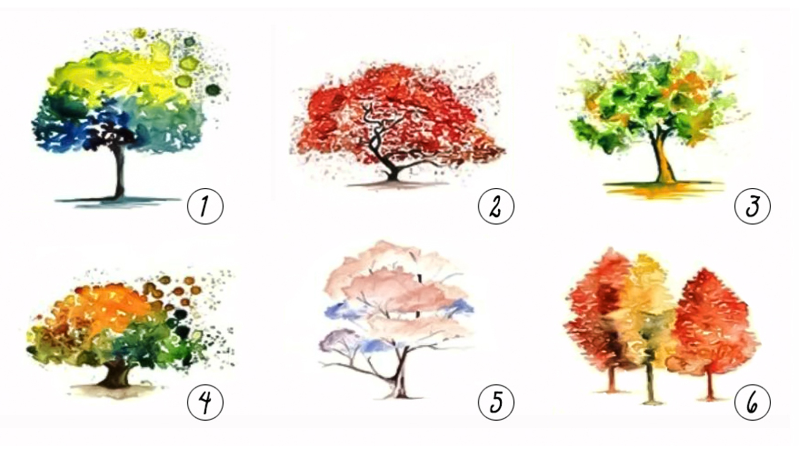 Trắc nghiệm: Hình ảnh cây cối bạn chọn nói gì về con người bạn? I ELLE