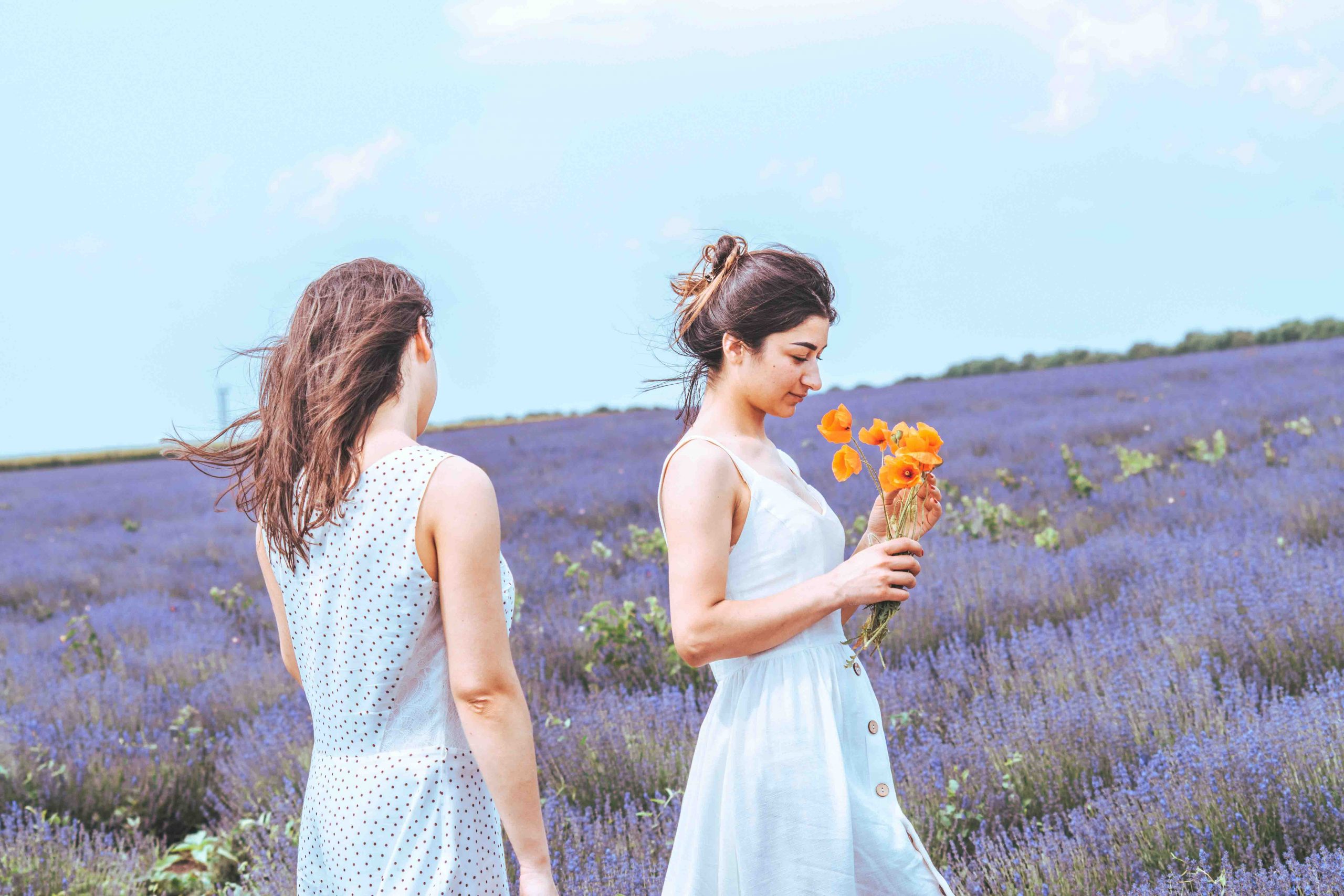 cung hoàng đạo hai cô gái giữa đồng hoa oải hương