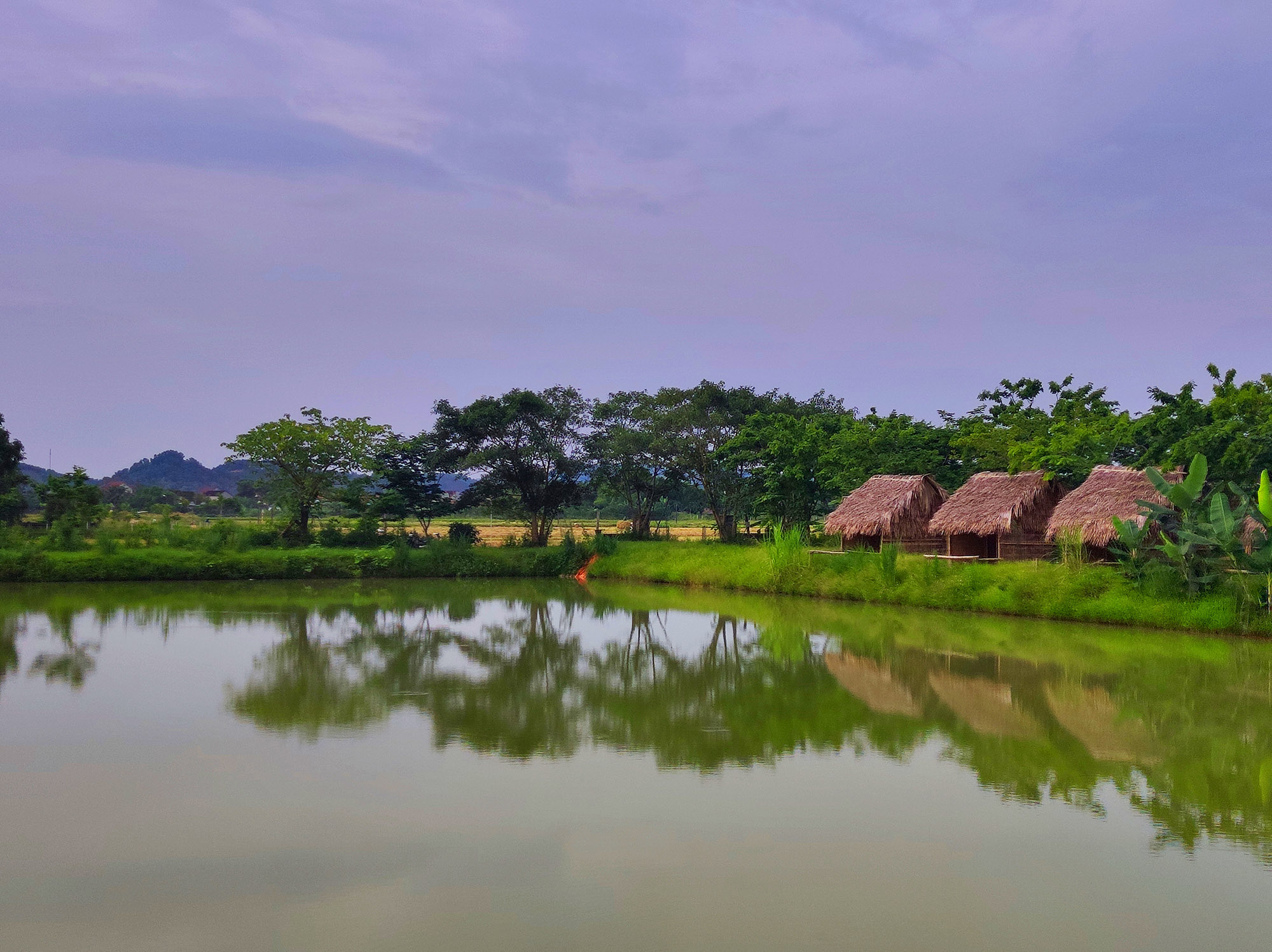 nghệ an hồ câu đồng lúa