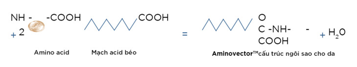 Amino Vector 