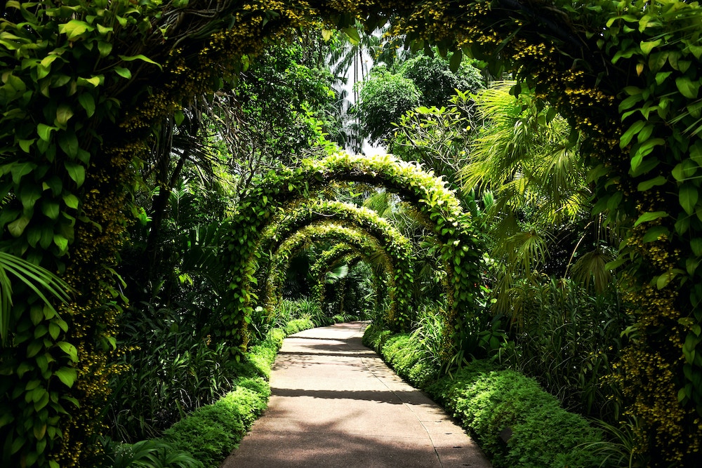 botanic garden singapore dia danh dong nam a