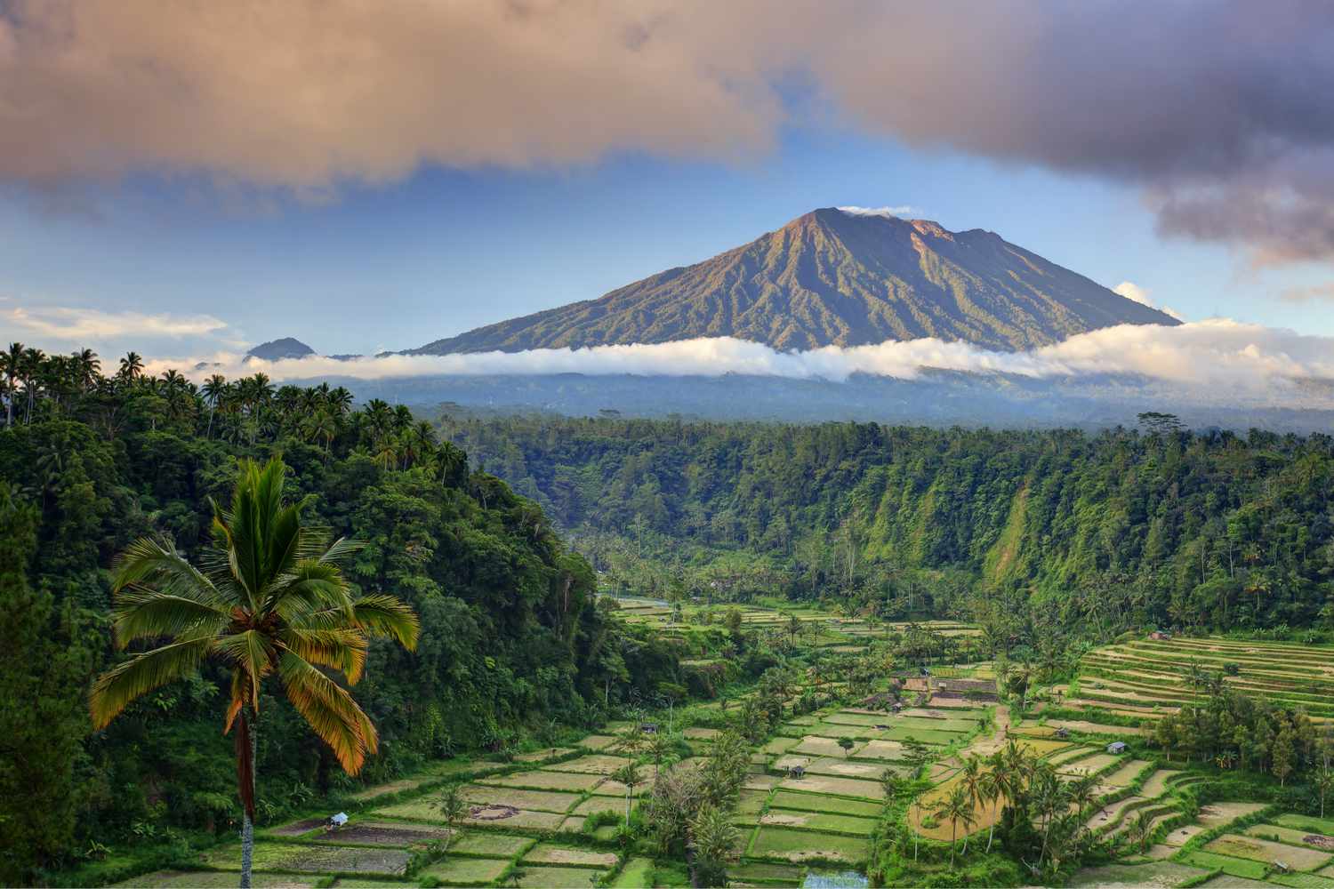 bali du lịch