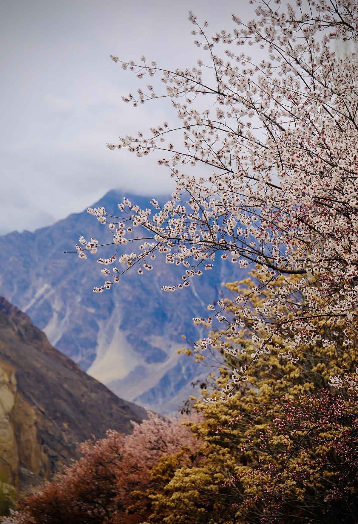 pakistan bình yên