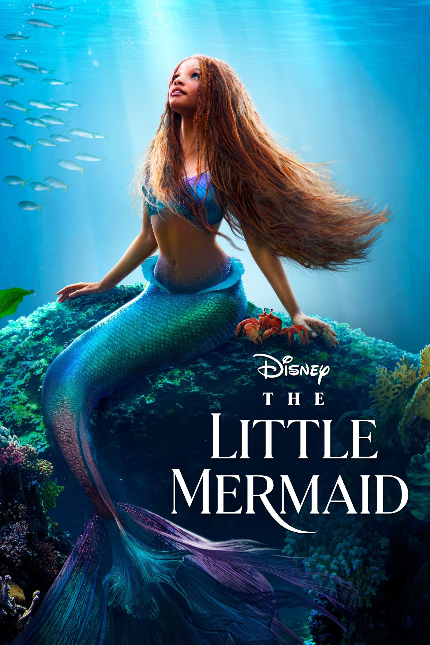 the-little-mermaid song ngư