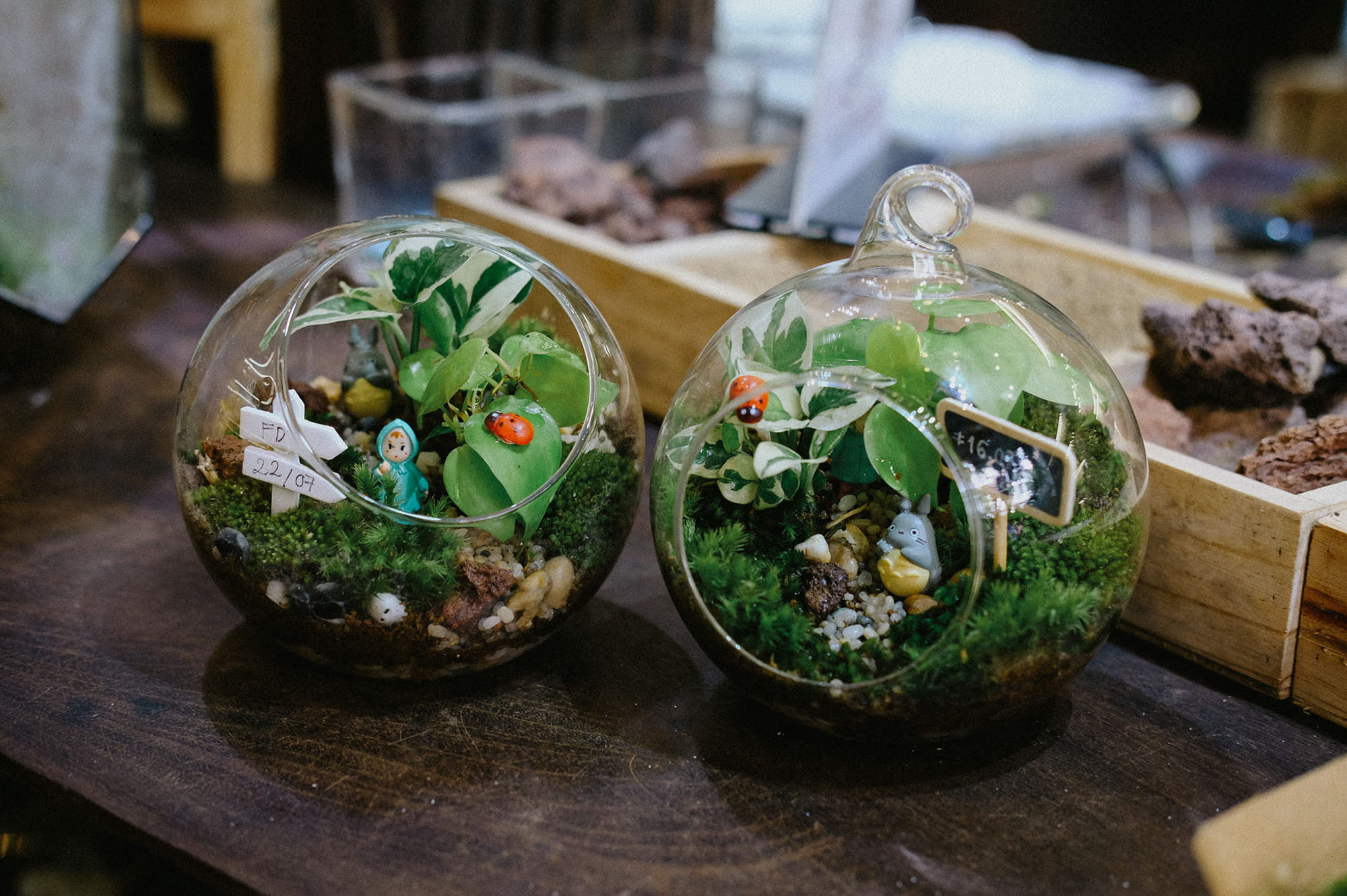 workshop terrarium