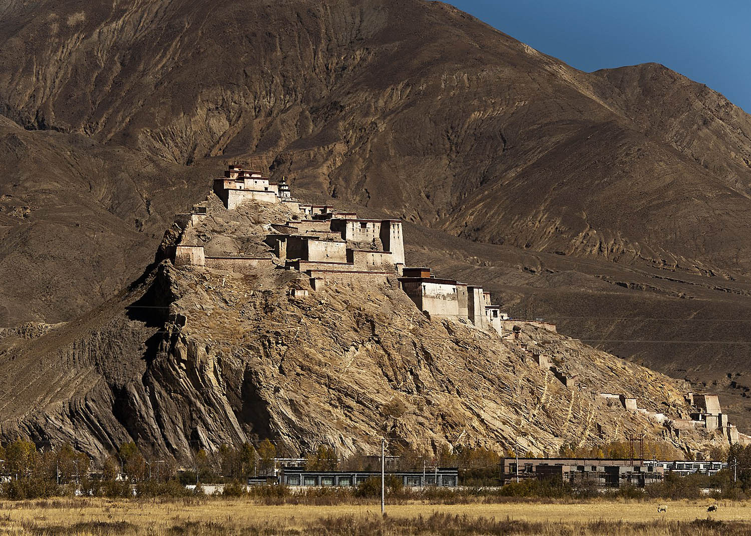 pháo đài gyantse tây tạng