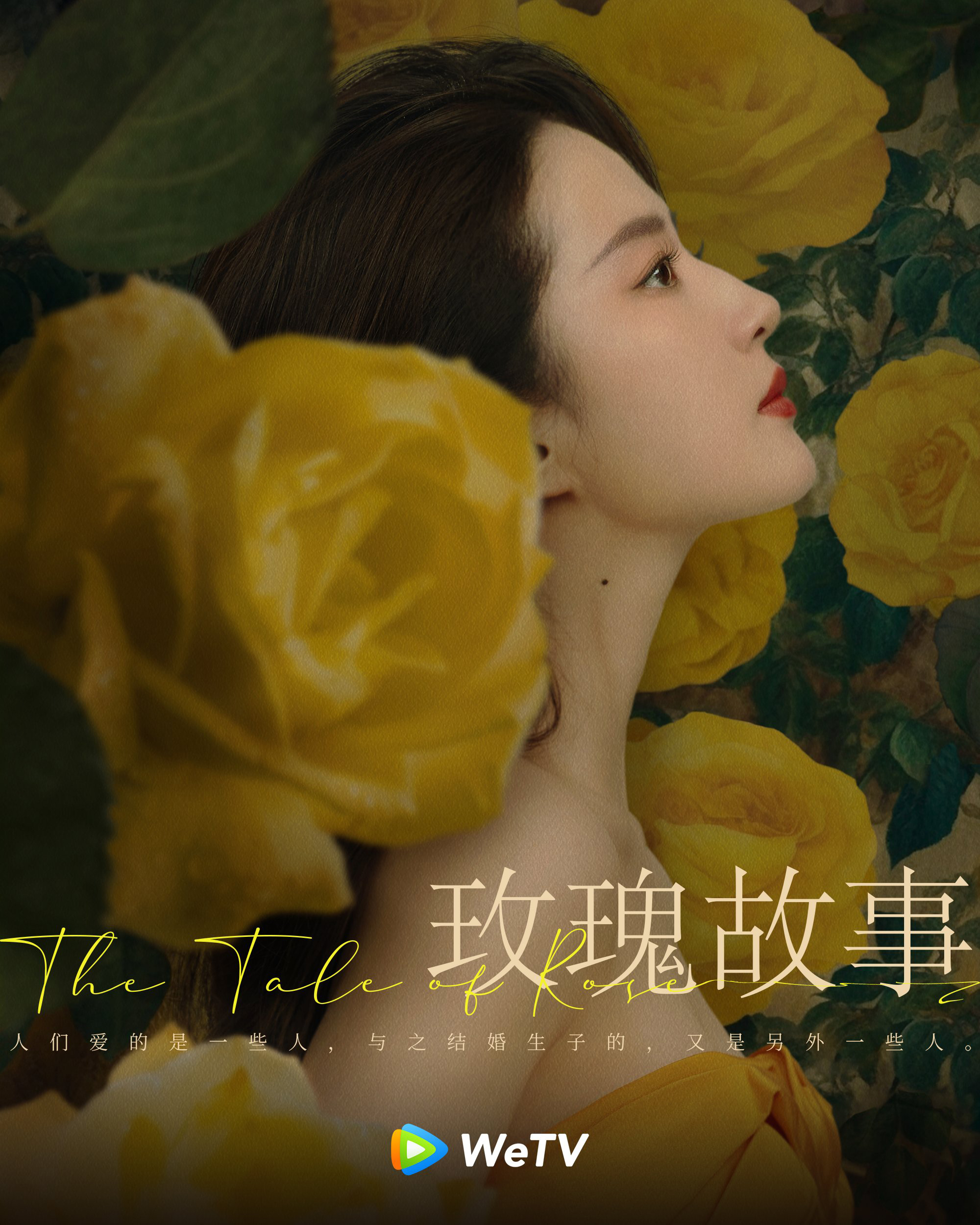 poster phim truyền hình câu chuyện hoa hồng