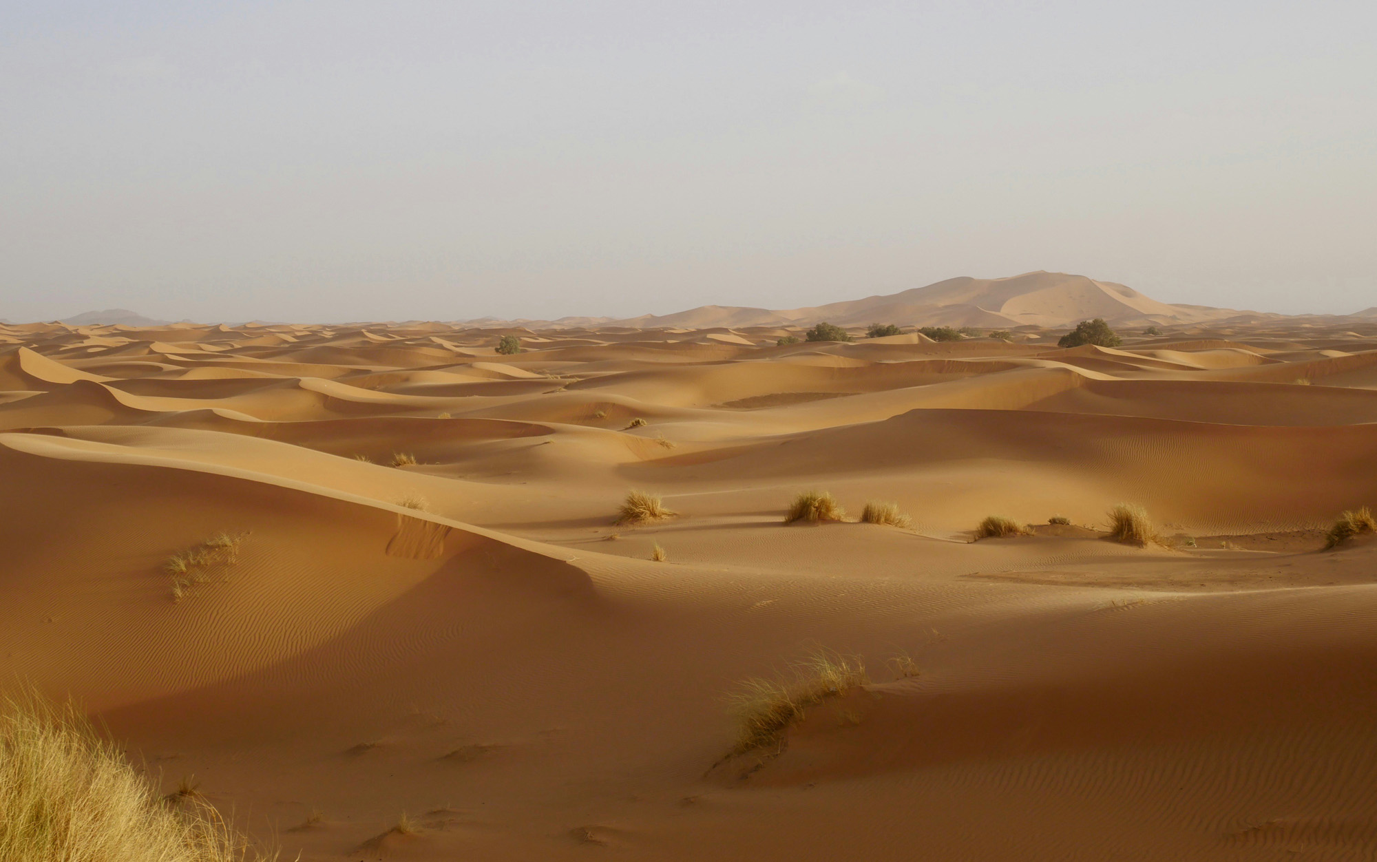 cồn cát tại maroc