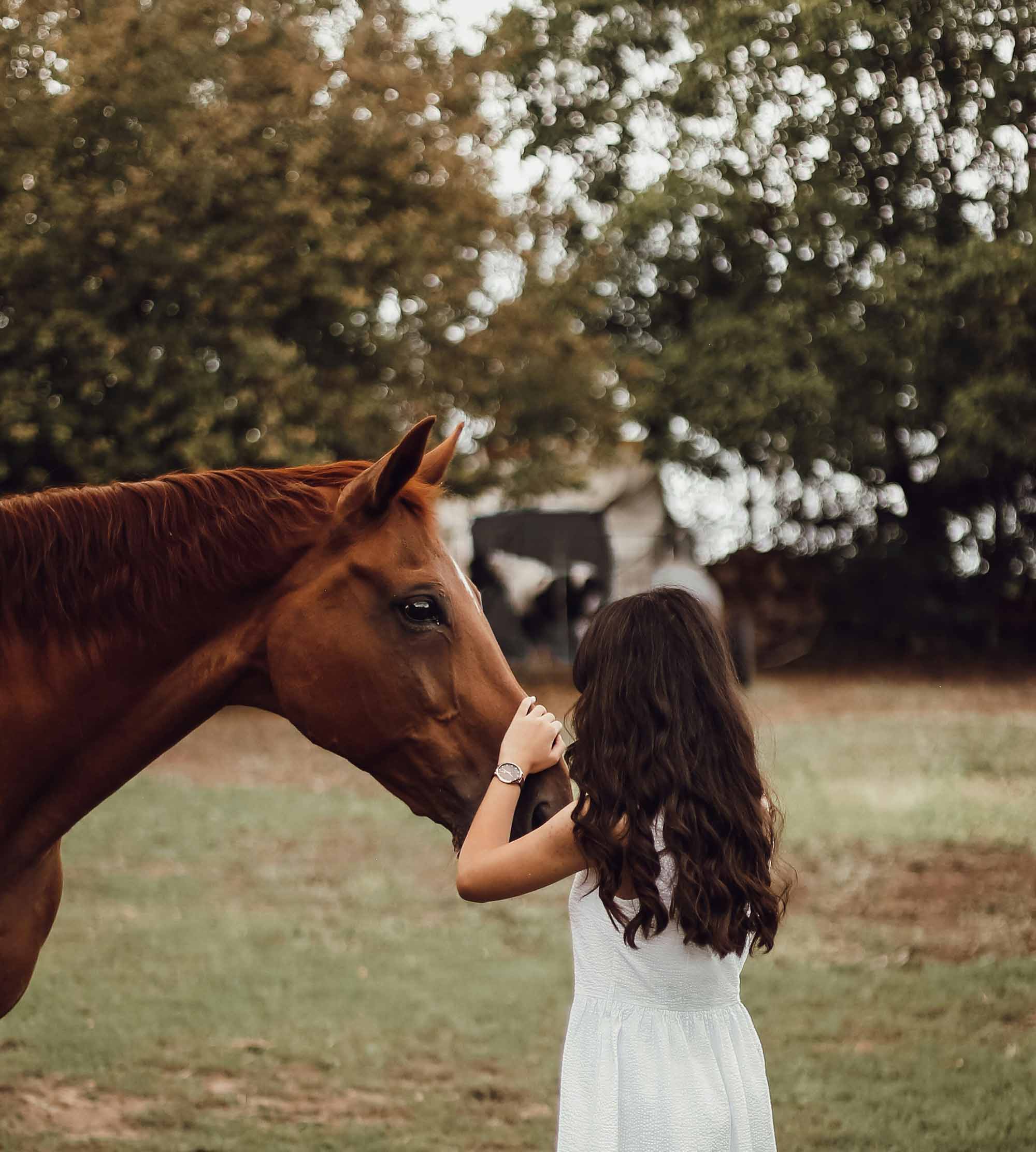 cô gái ch8m sóc ngựa nuôi dưỡng tình thương nâng cao tần số năng lượng tích cực