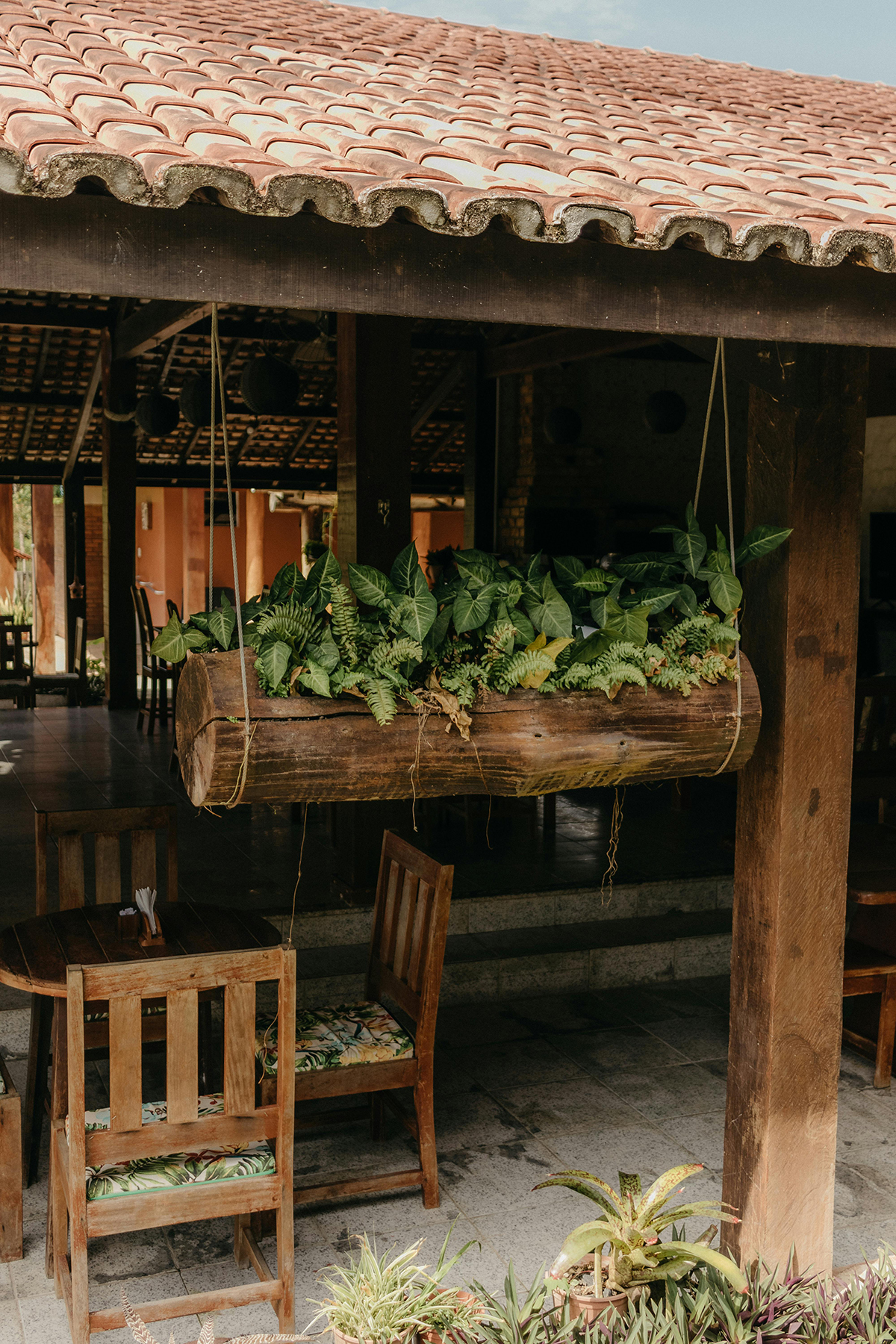 chậu cây làm từ gỗ 