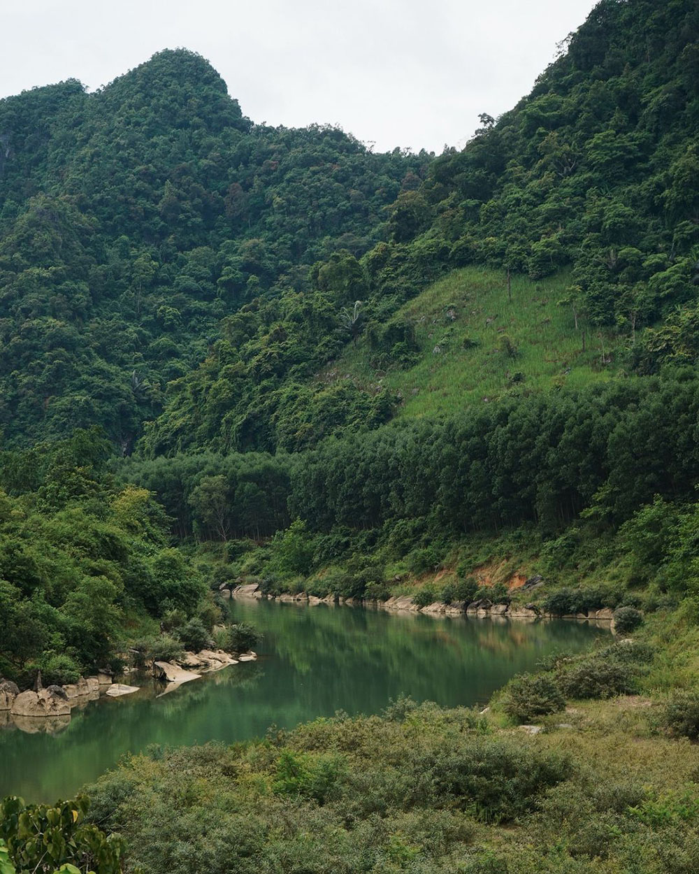 vườn quốc gia phong nha kẻ bàng quảng bình