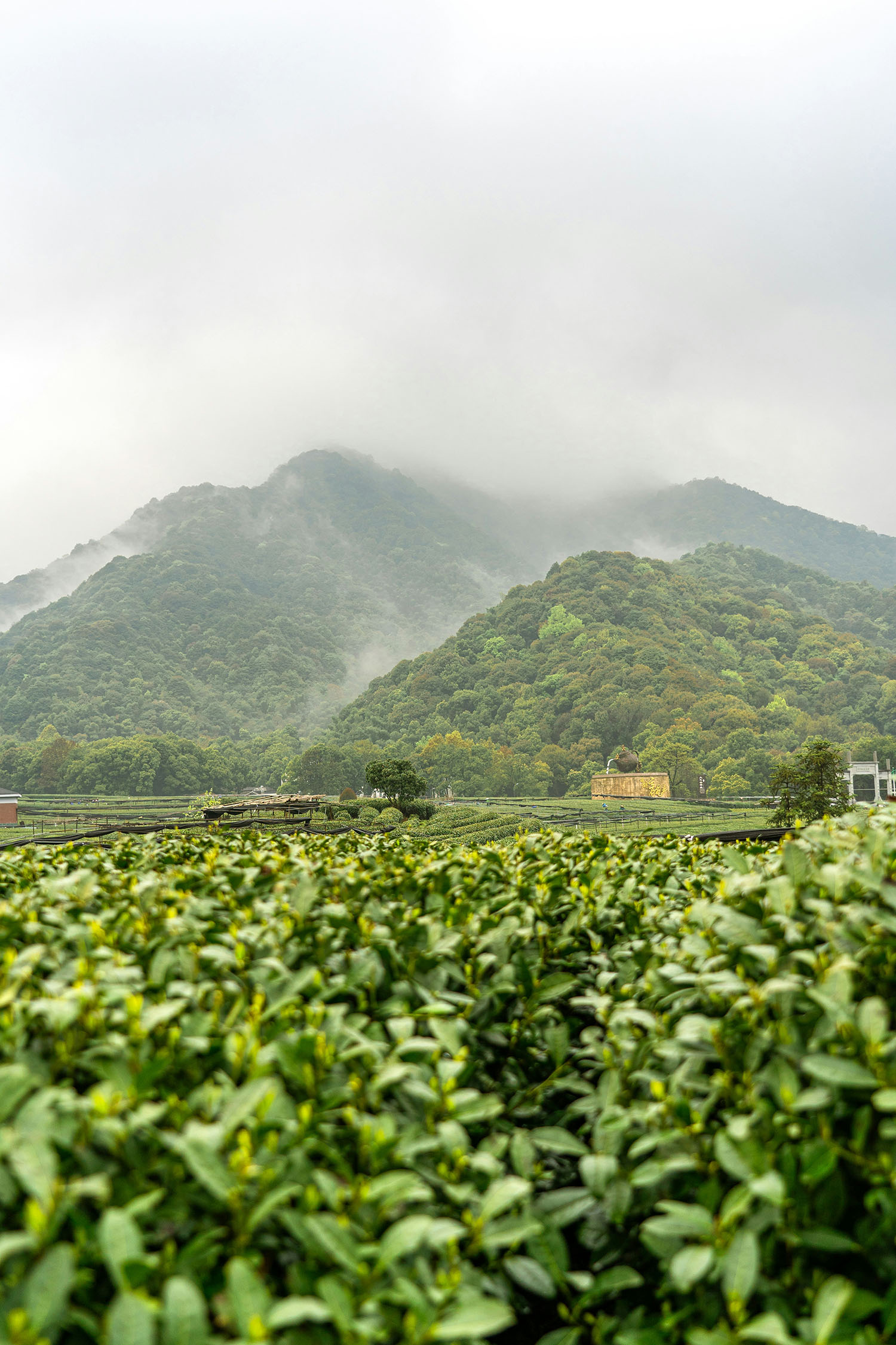 làng trà long tỉnh hàng châu