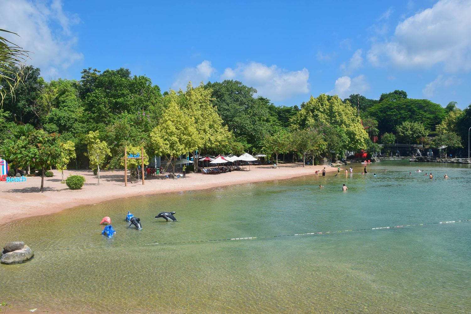 công viên suối mơ picnic