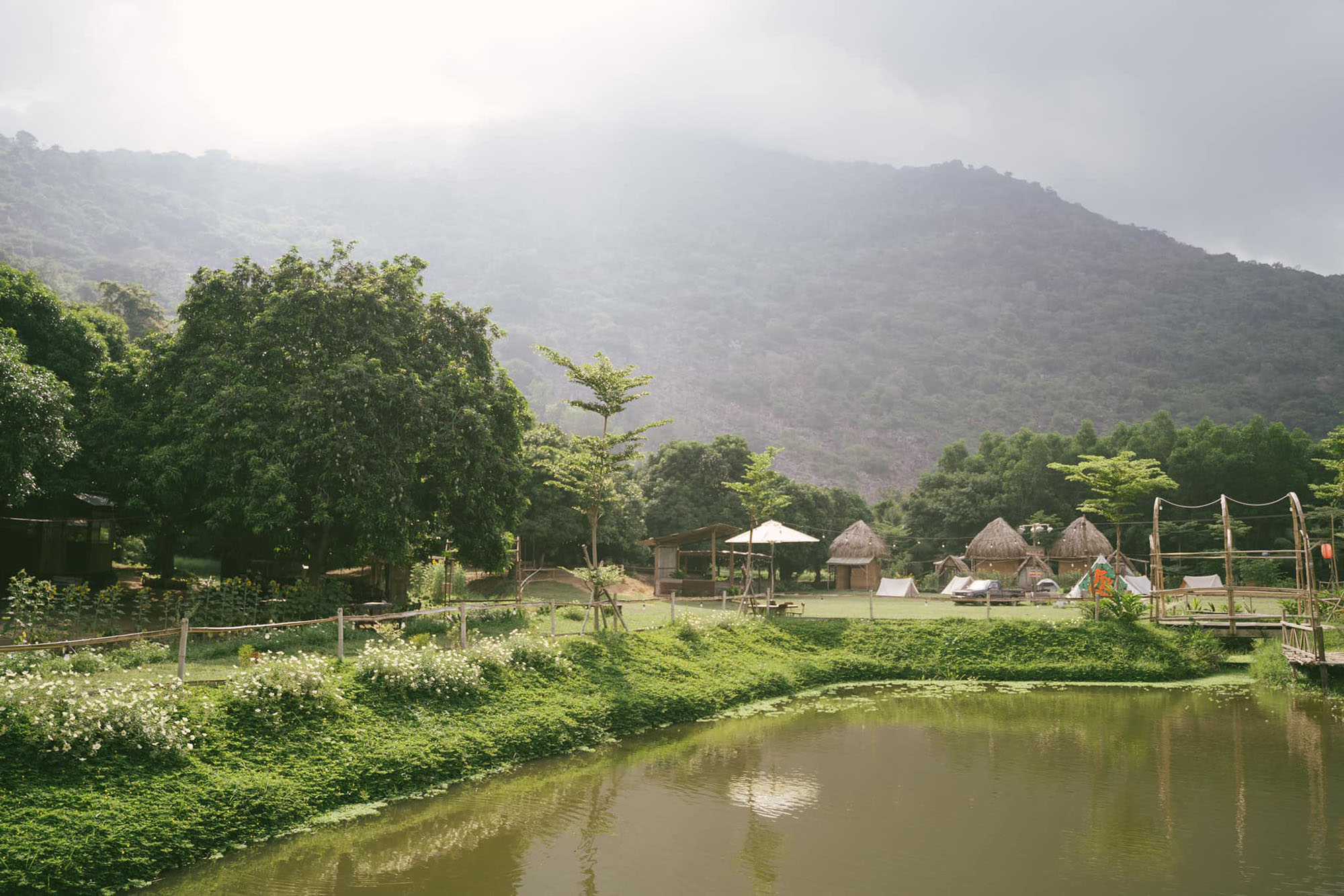 lữ quán tây ninh picnic