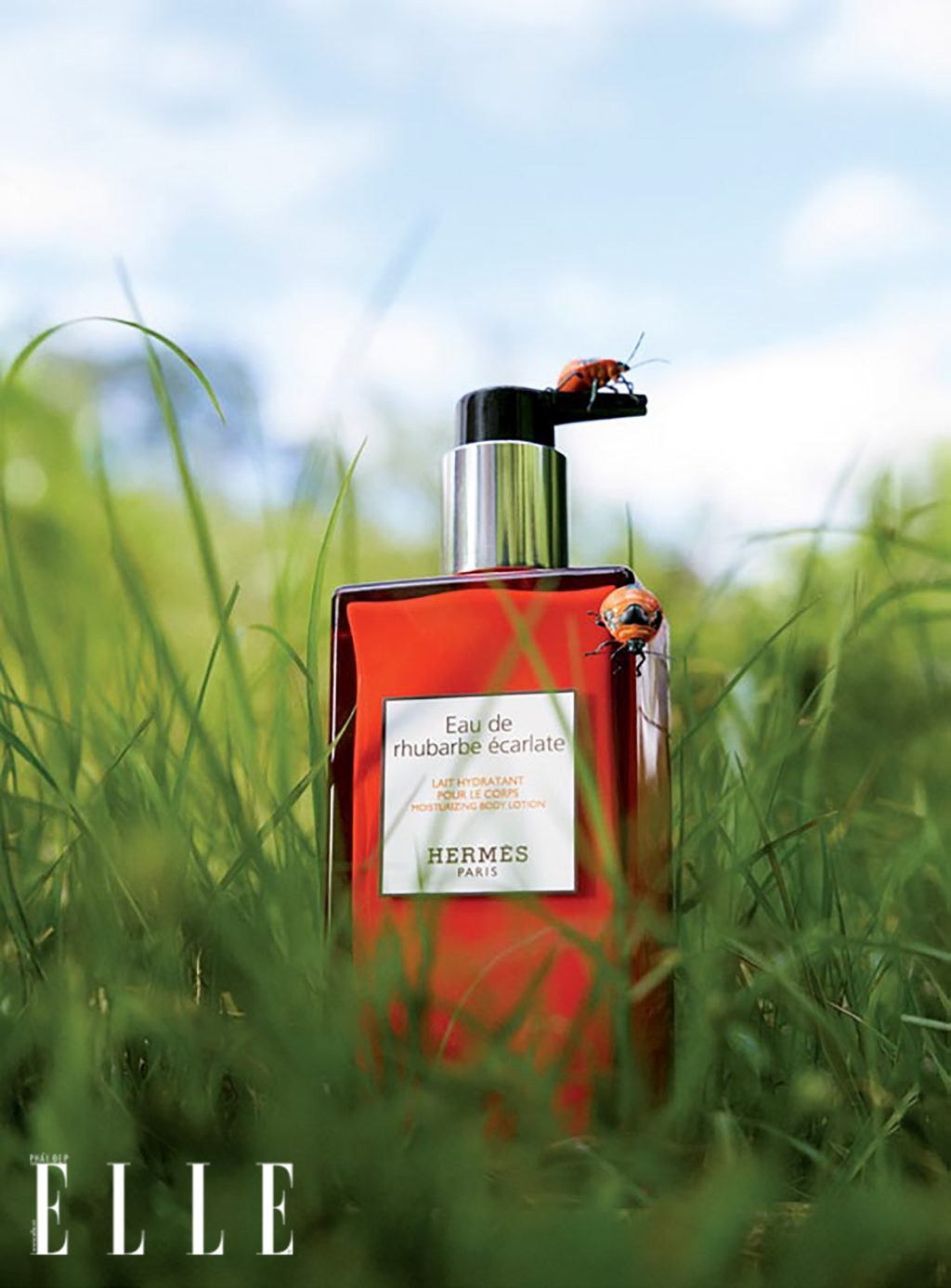 Dưỡng thể Eau de rhubarbe écarlate HERMÈS - mùi hương